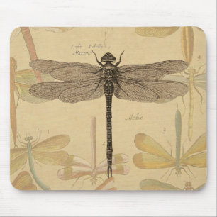 Tapis De Souris Libellule Vintage Antique Classique Nature