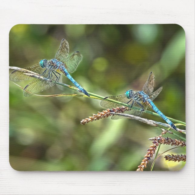 Tapis De Souris Libellules sur la branche Mousepad (Devant)