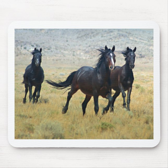 Tapis De Souris Libre de fantaisie (Devant)