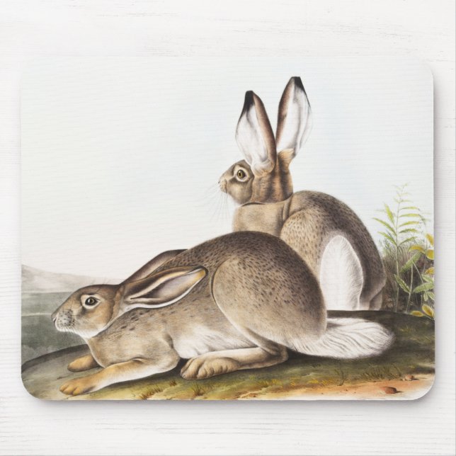 Tapis De Souris Lièvre des Rocheuses de Townsend (Lepus Townsendii (Devant)