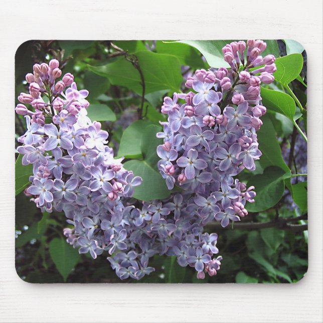 Tapis De Souris Lilas (Devant)