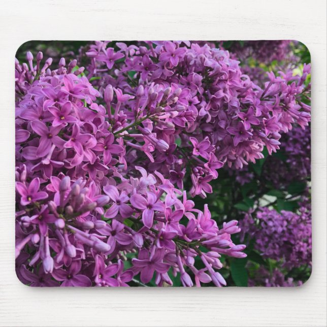 Tapis De Souris lilas rose violet | photo florale rose romantique (Devant)