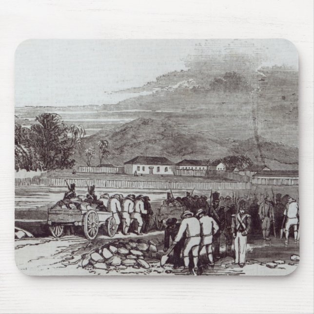 Tapis De Souris L'Île Norfolk (Devant)