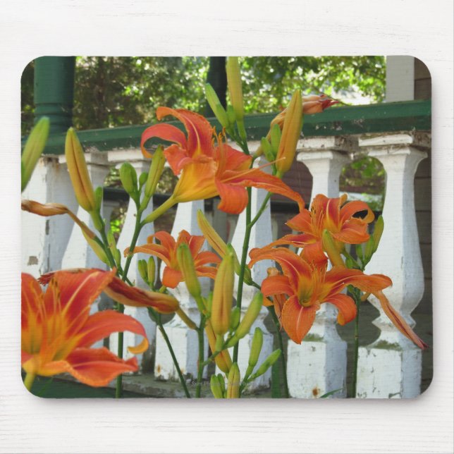 Tapis De Souris Lilies de tigre orange - Vignoble de Martha (Devant)