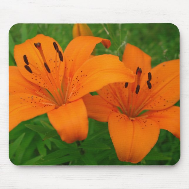 Tapis De Souris Lilies Mousepad (Devant)