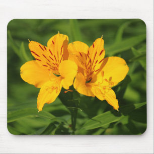 Tapis De Souris Lilies péruviennes