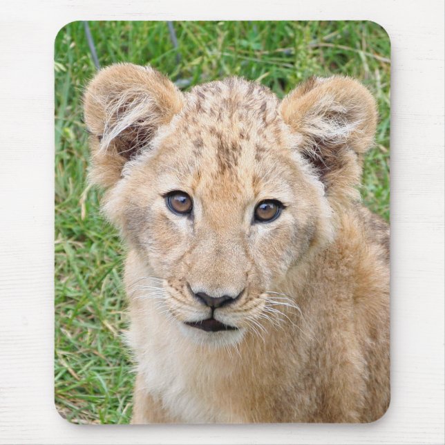 Tapis De Souris Lion (Devant)