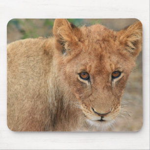Tapis De Souris Lion CUB