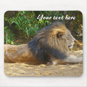 Tapis de souris Lion mâle