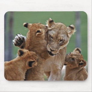 Tapis De Souris Lioness et 3 Cubs Mousepad