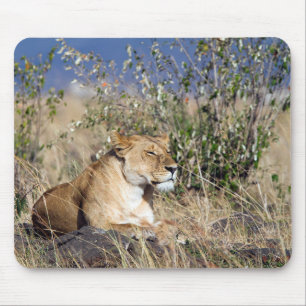 Tapis De Souris Lioness resting