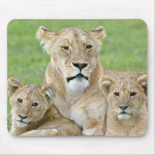 Tapis De Souris Lionne et deux lionceaux, Afrique orientale, Tanza
