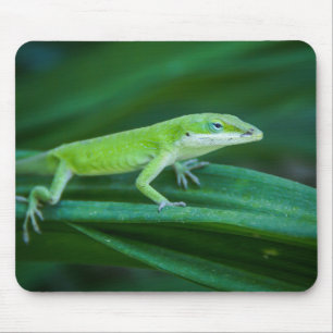 Tapis De Souris Lizard d'Anole Verte