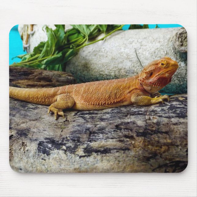 Tapis De Souris Lizard de dragon à tête adulte (Devant)
