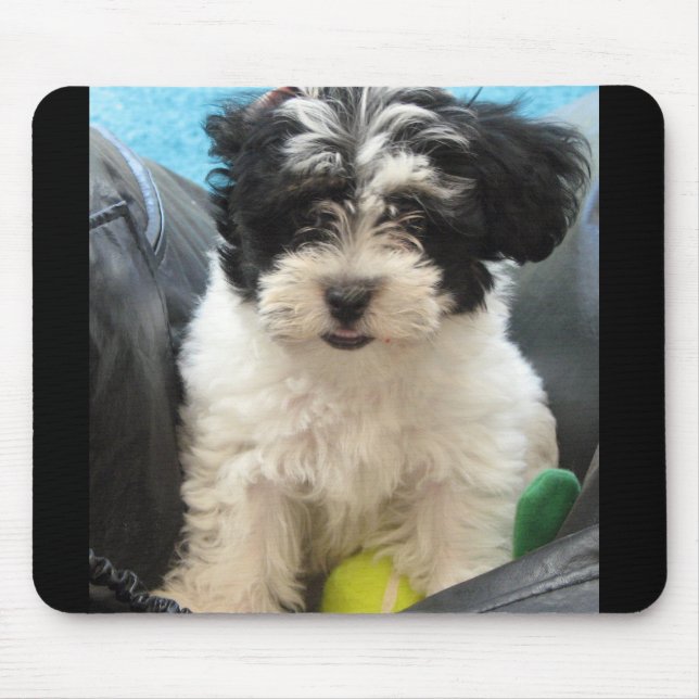 Tapis De Souris Lola un chiot secouru de Havanese (Devant)