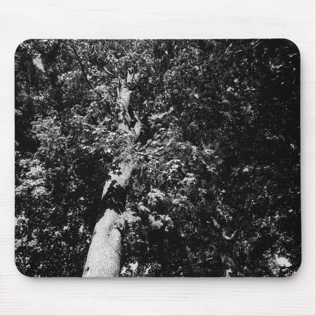 Tapis De Souris London Plane Tree B&W (Devant)
