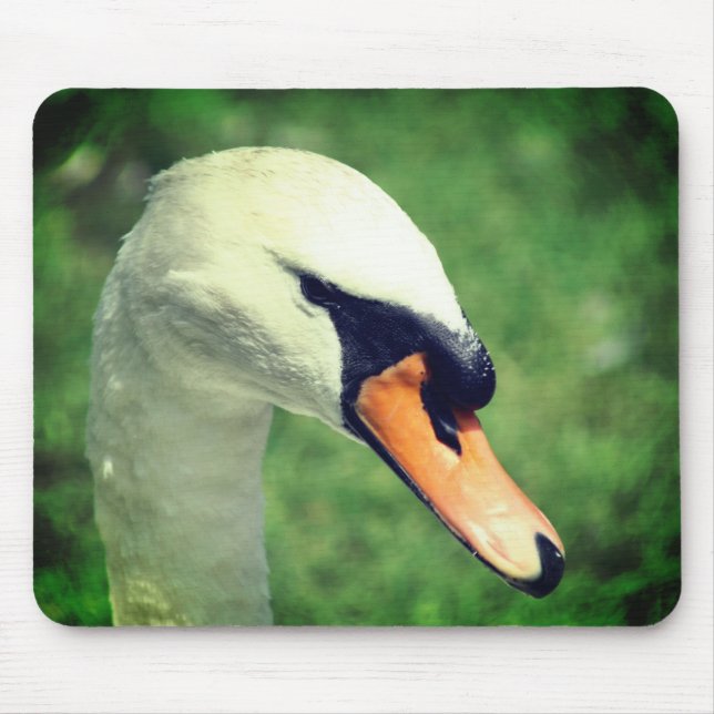 Tapis De Souris Look de Kings Swan Nature (Devant)