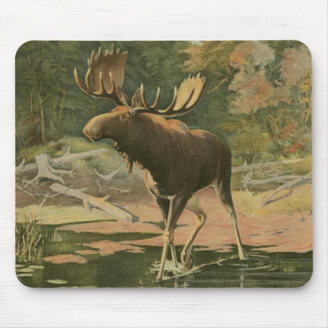Tapis De Souris L'orignal marche dans l'eau (Devant)