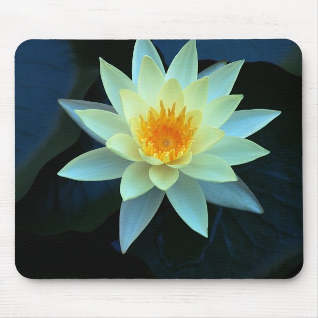 Tapis De Souris Lotus flower power (Devant)