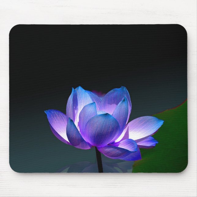 Tapis De Souris Lotus violet en pleine floraison, mousepad (Devant)