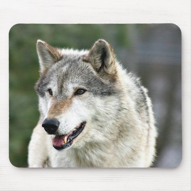 Tapis De Souris Loup (Devant)