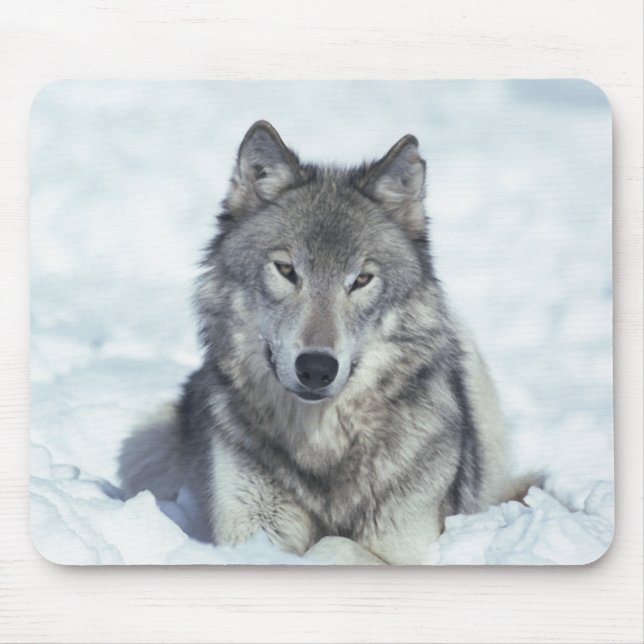 Tapis De Souris Loup (Devant)