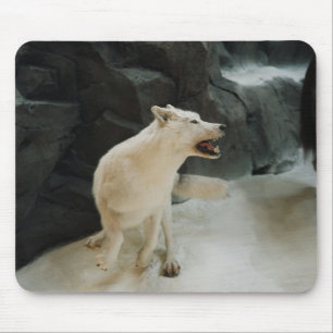 Tapis De Souris Loup blanc