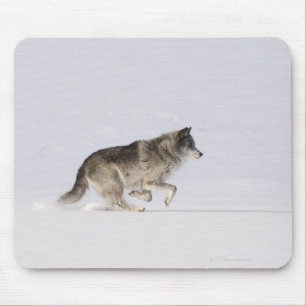 Tapis De Souris Loup fonctionnant dans la neige 2