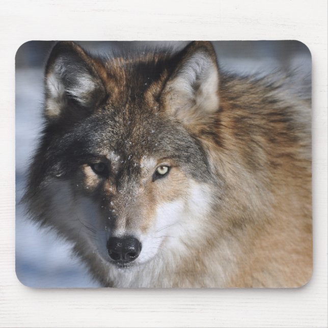 Tapis De Souris Loup gris (Devant)
