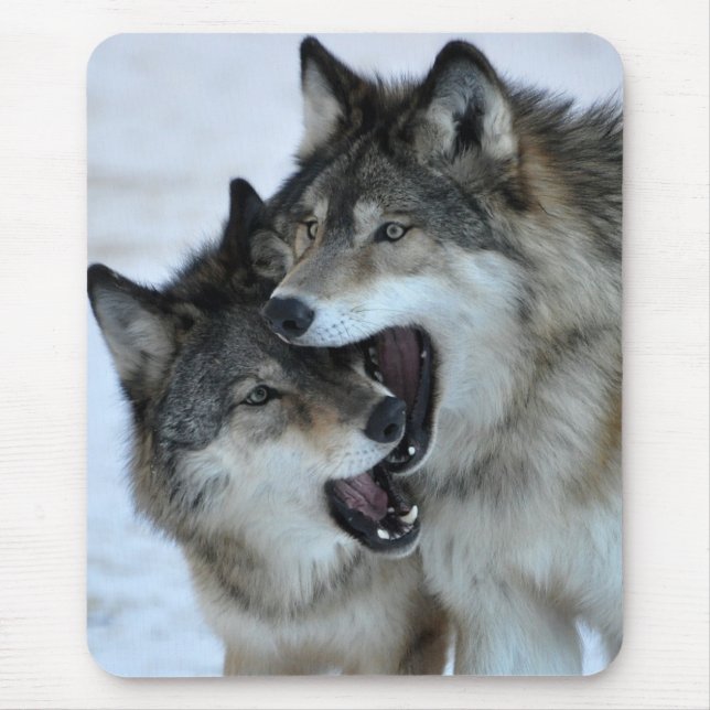 Tapis De Souris Loup gris (Devant)
