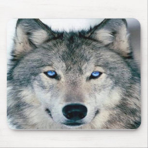 Tapis De Souris Loup observé par bleu