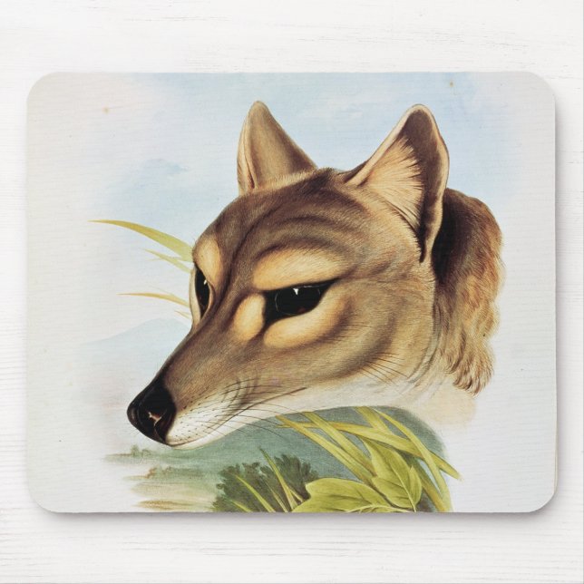 Tapis De Souris Loup ou tigre tasmanien (Devant)