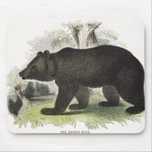 Tapis De Souris L'ours Brown, pub éducatif d'illustration. par t