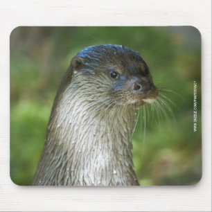 Tapis De Souris Loutre