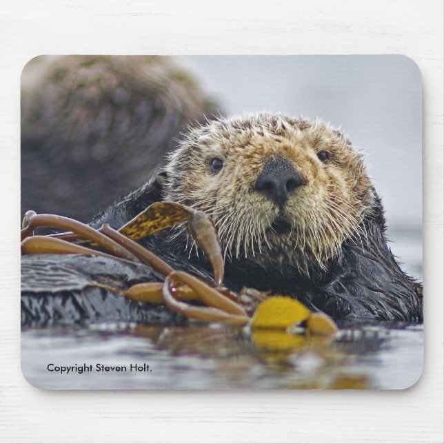 Tapis De Souris Loutre de mer de la Californie Mousepad (Devant)