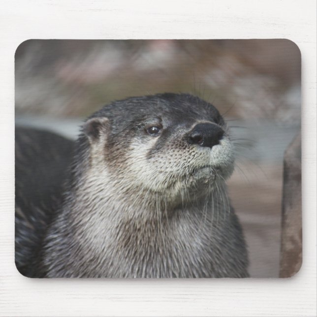 Tapis De Souris Loutre de rivière nord-américaine Mousepad (Devant)