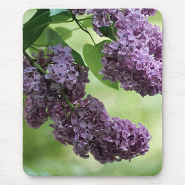 Tapis De Souris Lovely Spring Mousepad (Devant)