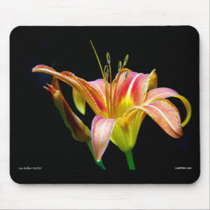 Tapis De Souris Lovely Tawny Daylily II Vêtements et cadeaux