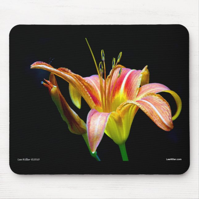 Tapis De Souris Lovely Tawny Daylily II Vêtements et cadeaux (Devant)