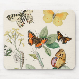 Tapis De Souris Lovely vintage illustration of butterflies