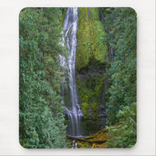 Tapis De Souris Lower Proxy Falls Forêt nationale de Willamette