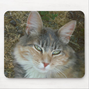 Tapis De Souris Lulu - assoupi à midi