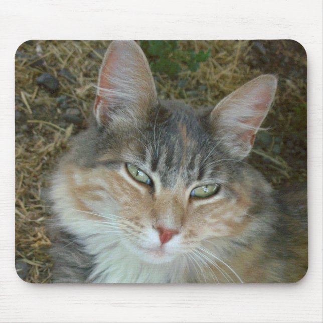 Tapis De Souris Lulu - assoupi à midi (Devant)