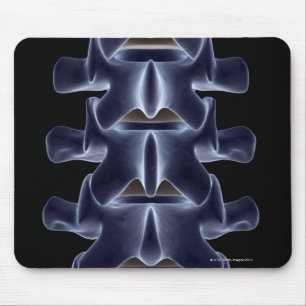 Tapis De Souris Lumbar Vertebra 2