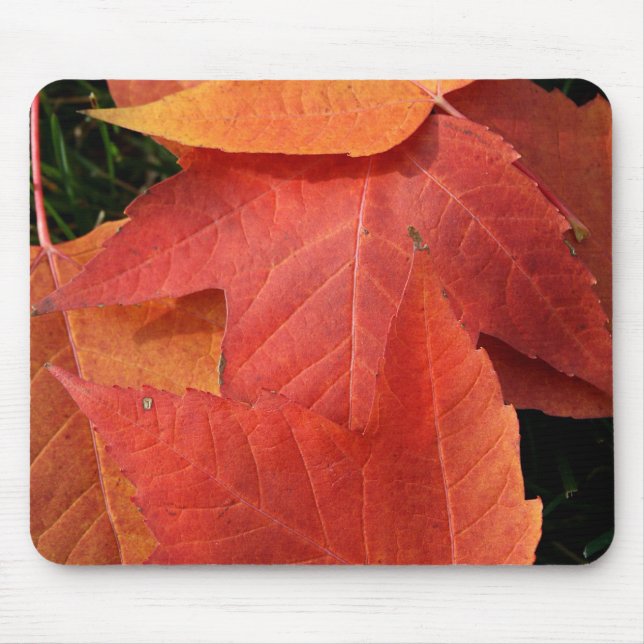 Tapis de souris lumineux de feuille (Devant)