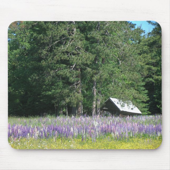Tapis De Souris Lupine (Devant)