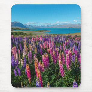 Tapis De Souris Lupines de Russle au lac Tekapo   Nouvelle Zéland