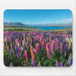 Tapis De Souris Lupines de Russle au lac Tekapo   Nouvelle Zéland