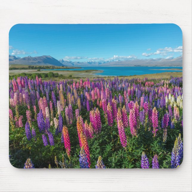 Tapis De Souris Lupines de Russle au lac Tekapo | Nouvelle Zélande (Devant)