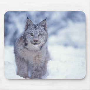 Tapis De Souris Lynx dans la neige dans les contreforts